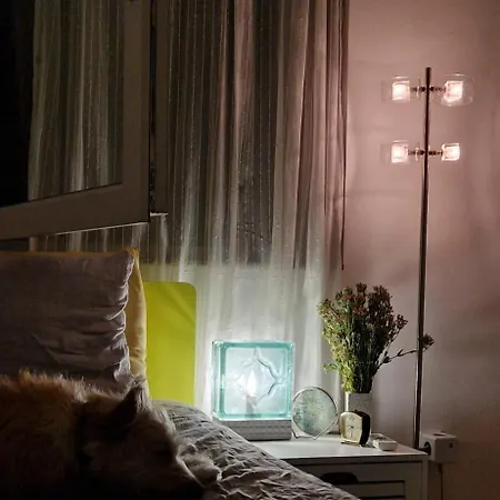 Apartament Mileshevska *
